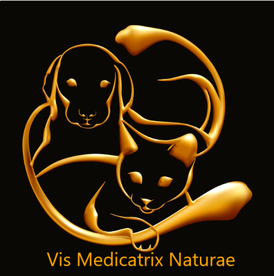 Logo de l'entreprise Vis Medicatrix Naturae